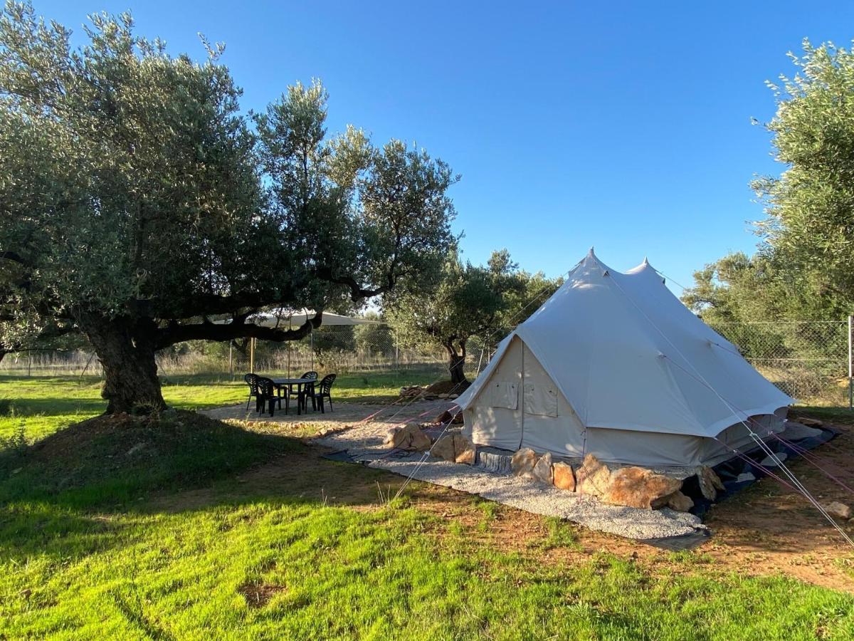Paraiso Bell Tent ตอร์โตซา ภายนอก รูปภาพ