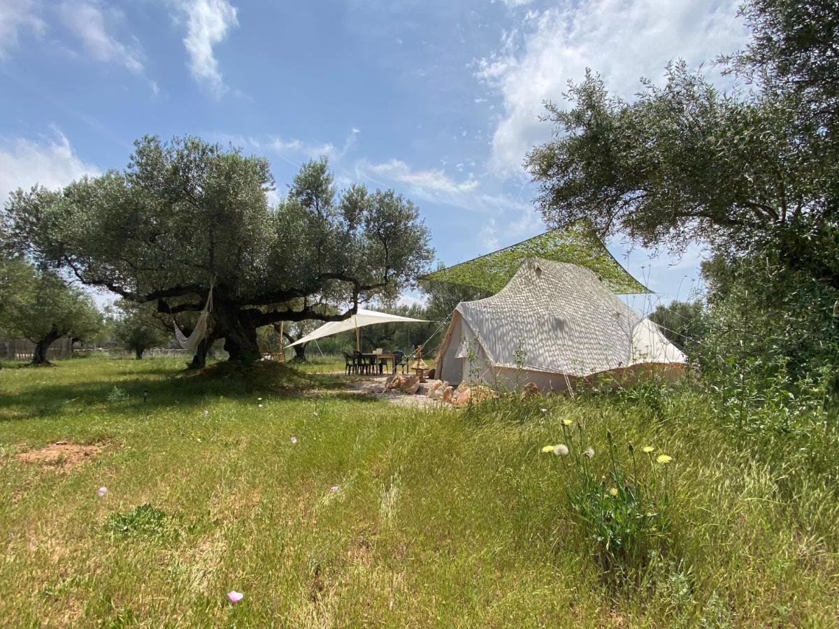 Paraiso Bell Tent ตอร์โตซา ภายนอก รูปภาพ